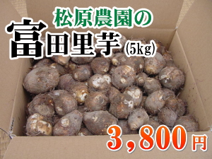 �x�c����