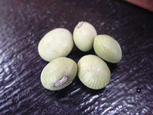 �哤�S