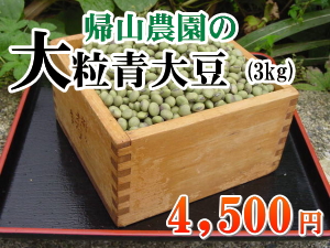 �x�c�哤