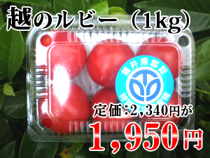 �z�̃��r�[