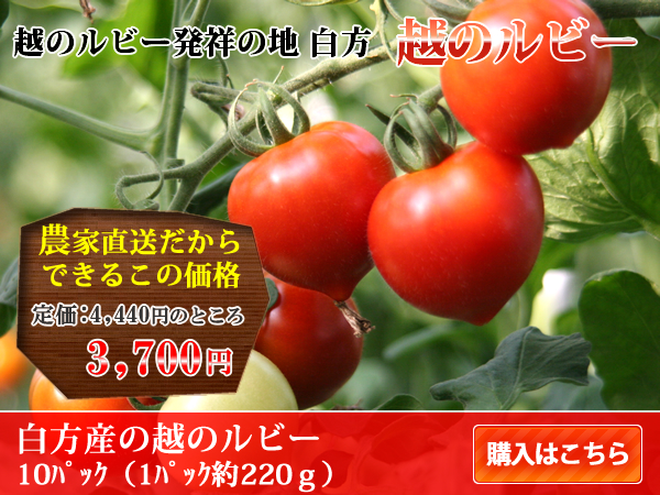�z�̃��r�[