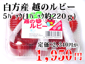 �z�̃��r�[