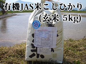 ����(5kg)