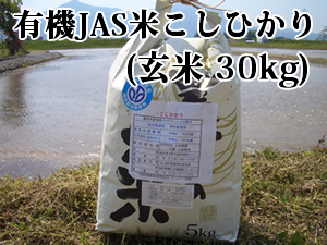 ����(30kg)