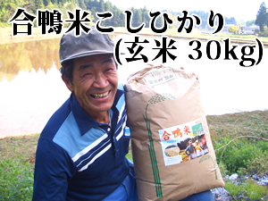 ����(30kg)
