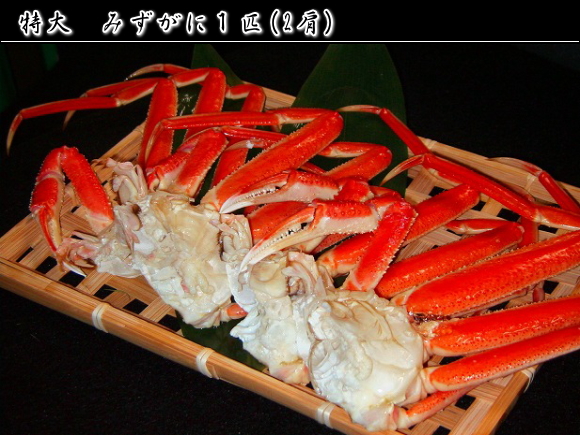 ���吅���� 1�C(2��)