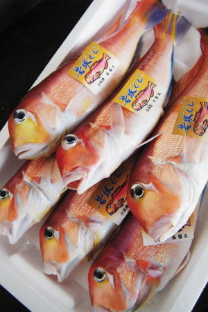 �ዷ���� 300g�~2��