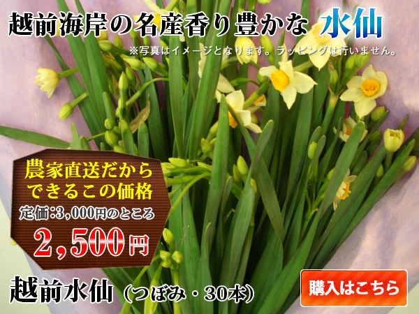 �z�O�C�݂̍�������