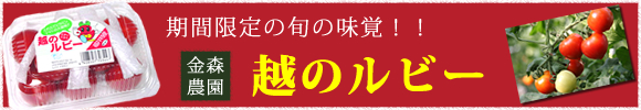 �z�̃��r�[