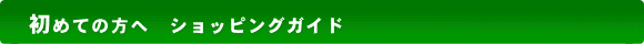 ���������@ [�ʂȎs��]