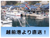 ���Y�ҏЉ�