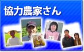 協力農家さん紹介
