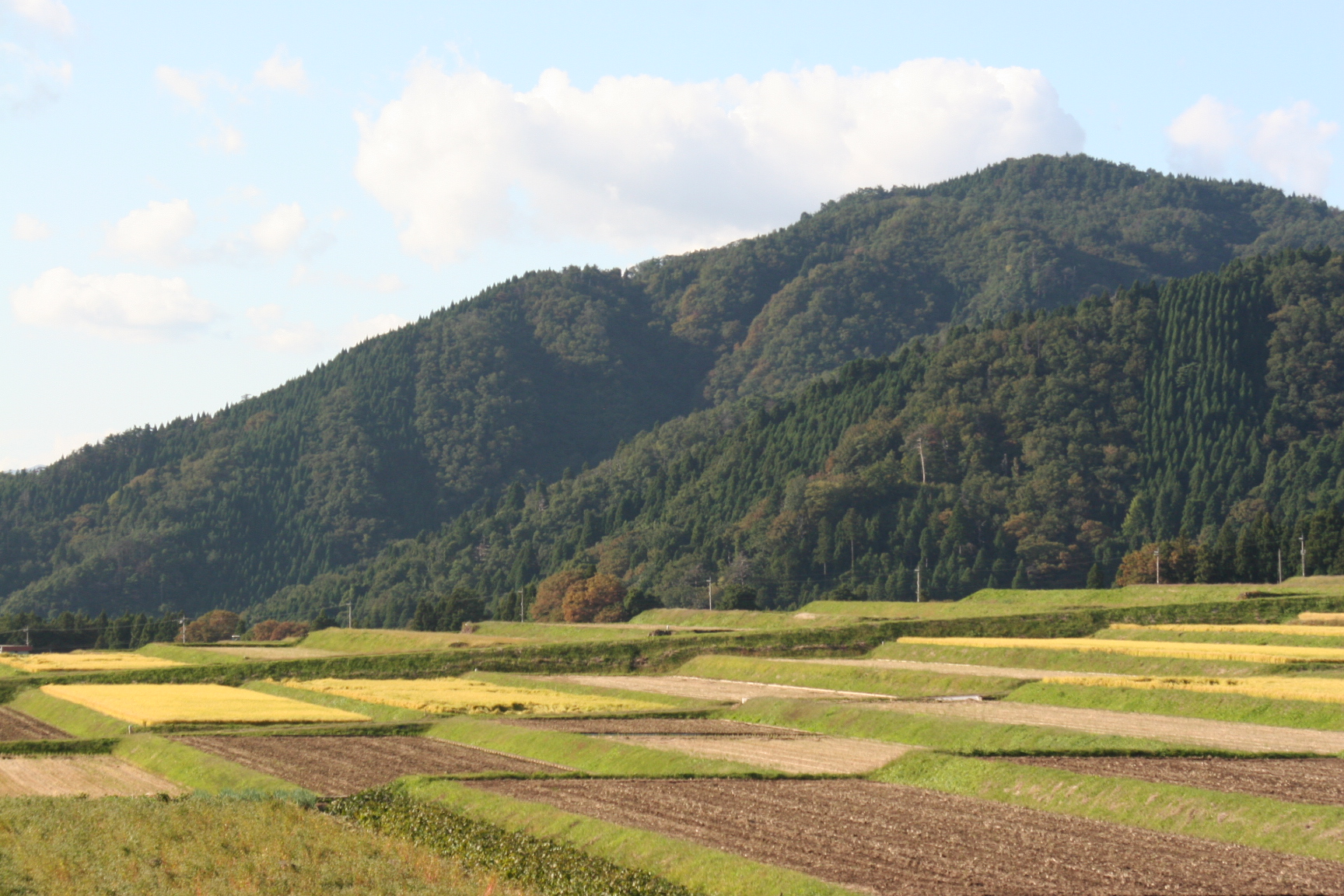 恵まれた風土、越前大野