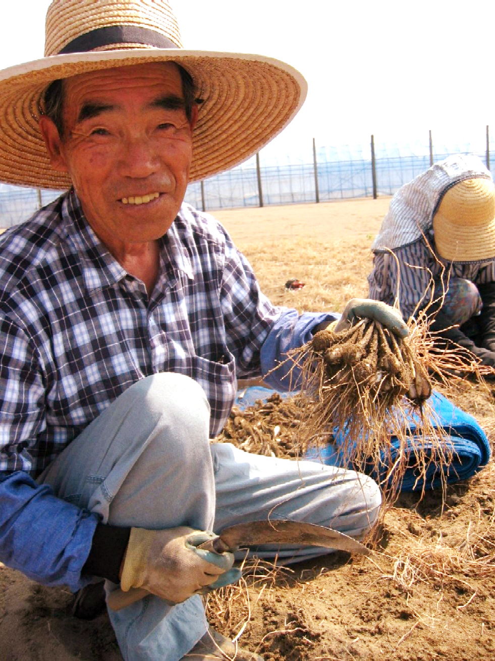 三里浜特産農業協同組合