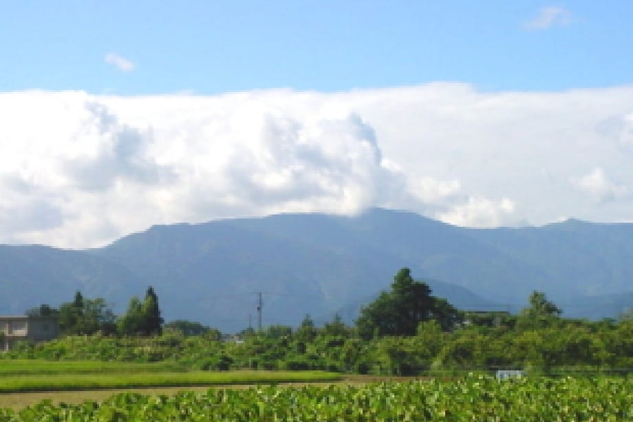 盆地の気候条件が美味しさを育む