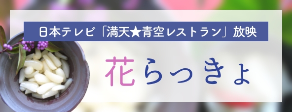 送料無料