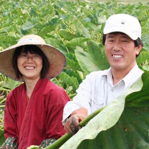 上田農園