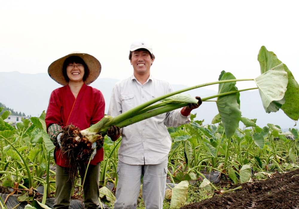 上庄里芋がおいしい理由
