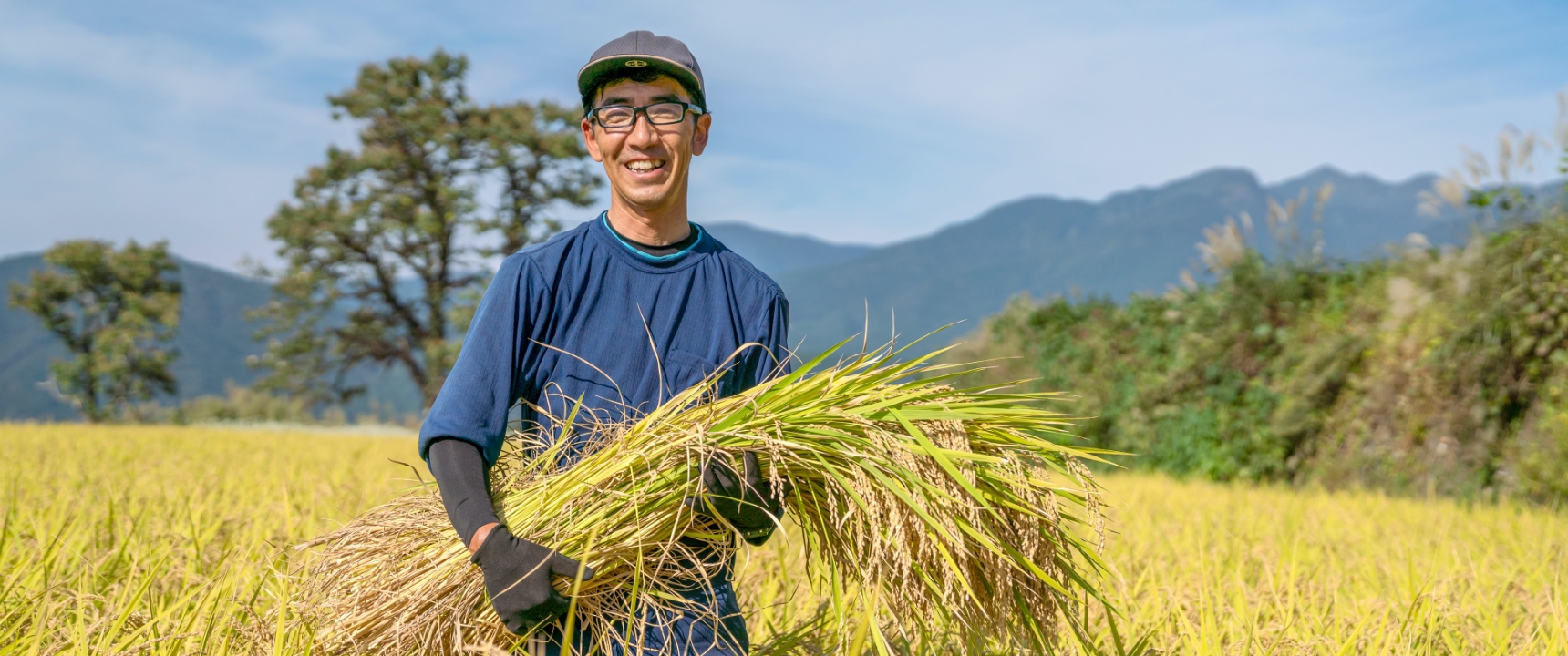 帰山農園の一等米　　　　つきあかり玄米5ｋｇ