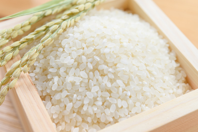 エコファーマ認定農家栽培　コシヒカリ玄米5ｋｇ