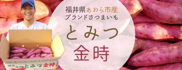 送料無料